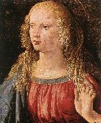 LEONARDO da Vinci Annunciation (detail) dfe Spain oil painting artist
